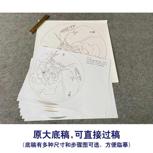 【有步骤、大彩图】杨冬冬工笔画白描底稿圆形小品《涵芳》荷花初学者临摹花鸟线稿HD30 商品图1