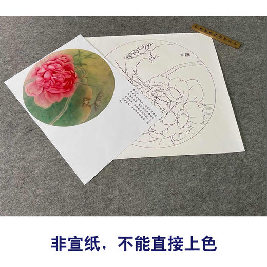 【有步骤、大彩图】杨冬冬工笔画白描底稿圆形小品《涵芳》荷花初学者临摹花鸟线稿HD30 商品图2