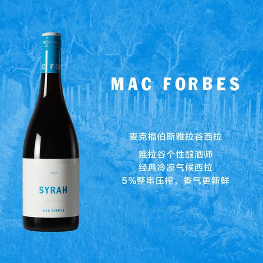 澳洲自然派先锋麦克福伯斯雅拉谷西拉干红葡萄酒 Mac Forbes Yarra Valley Syrah 商品图0