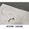 【有步骤、大彩图】杨冬冬工笔画白描底稿小品《花开并蒂》荷花初学者临摹花鸟线稿HD40 商品缩略图4