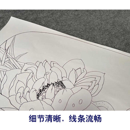 【有步骤、大彩图】杨冬冬工笔画白描底稿小品《花开并蒂》荷花初学者临摹花鸟线稿HD40 商品图4