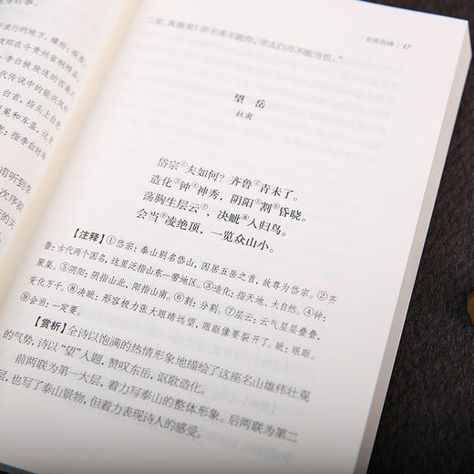 谦德唐诗+宋词+元曲（套装全3册） 商品图5