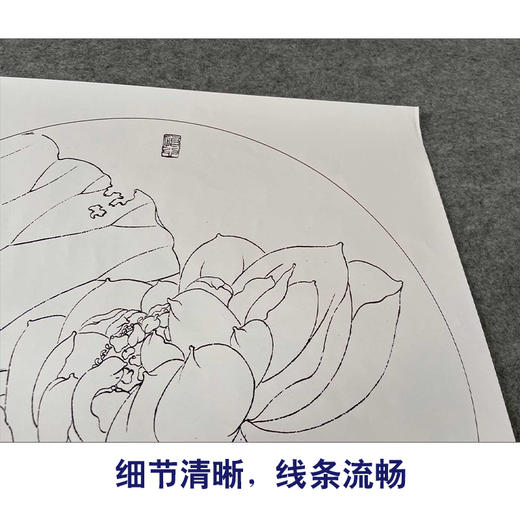 【有步骤、大彩图】杨冬冬工笔画白描底稿圆形小品《怡心》荷花蝴蝶初学者临摹花鸟线稿HD38 商品图4