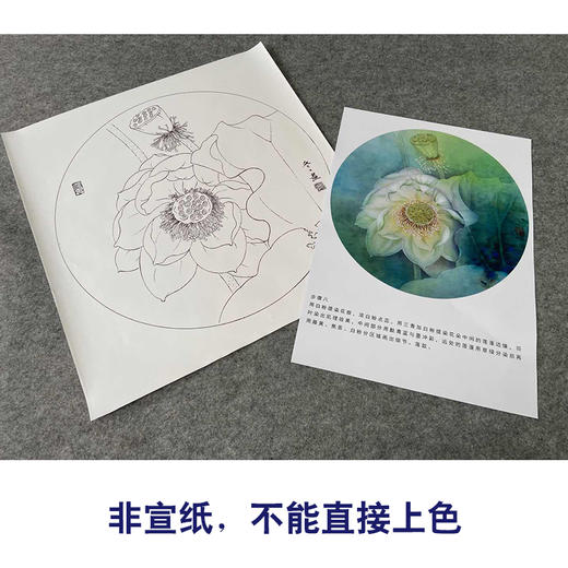 【有步骤、大彩图】杨冬冬工笔画白描底稿圆形小品《宛然》荷花初学者临摹花鸟线稿HD36 商品图2