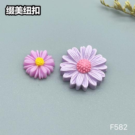 F582(整包购买) 商品图4