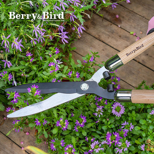 Berry&Bird园艺绿篱剪 商品图3