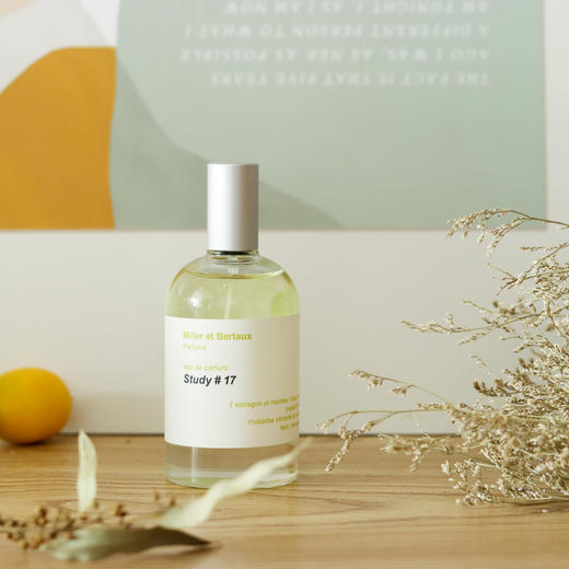 米勒·博涛斯 17号习作 Miller et Bertaux Study #17 分装 商品图2