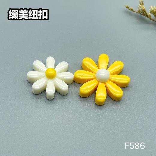 F586(整包购买) 商品图2