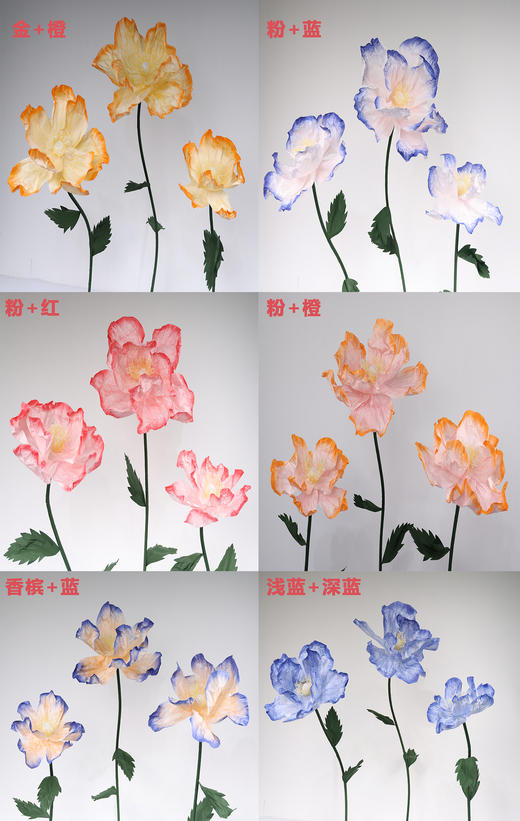 虞美人【运费自理】 商品图9