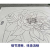 【有步骤、大彩图】杨冬冬工笔画白描底稿圆形小品《梦蝶》荷花初学者临摹花鸟线稿HD34 商品缩略图4