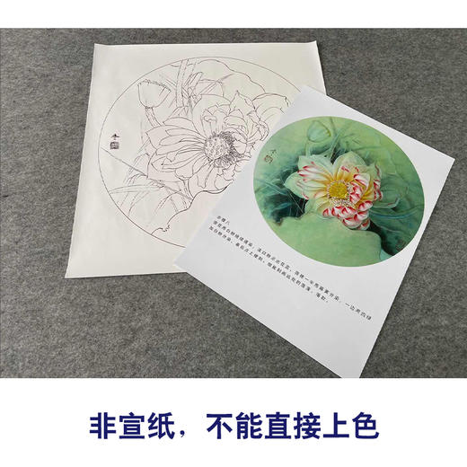 【有步骤、大彩图】杨冬冬工笔画白描底稿圆形小品《妙丽》荷花初学者临摹花鸟线稿HD35 商品图2