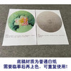 【有步骤、大彩图】杨冬冬工笔画白描底稿圆形小品《妙丽》荷花初学者临摹花鸟线稿HD35 商品缩略图3