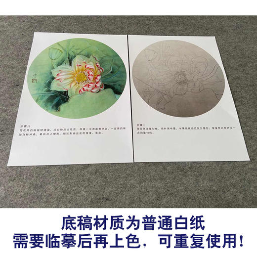 【有步骤、大彩图】杨冬冬工笔画白描底稿圆形小品《妙丽》荷花初学者临摹花鸟线稿HD35 商品图3