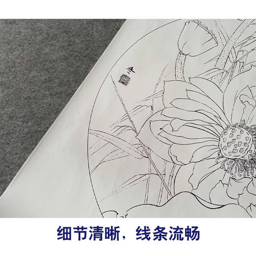 【有步骤、大彩图】杨冬冬工笔画白描底稿圆形小品《妙丽》荷花初学者临摹花鸟线稿HD35 商品图4