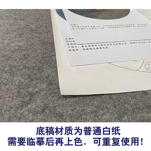 【有步骤、大彩图】杨冬冬工笔画白描底稿圆形小品《怡心》荷花蝴蝶初学者临摹花鸟线稿HD38 商品图3