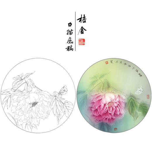 【有步骤、大彩图】杨冬冬工笔画白描底稿圆形小品《雨后》牡丹蝴蝶初学者临摹花鸟线稿HD39 商品图0