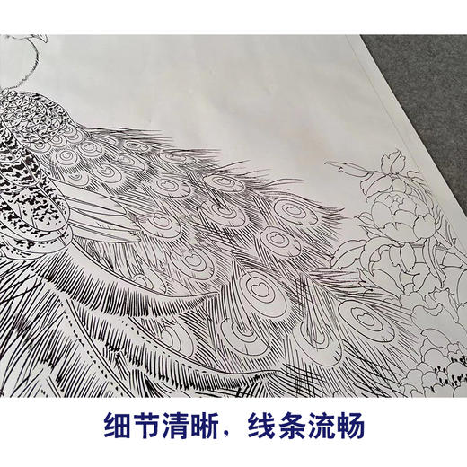 【有步骤】陈军工笔画白描底稿《国色天香翠羽生辉》孔雀牡丹初学者临摹花鸟线稿CJ39 商品图4