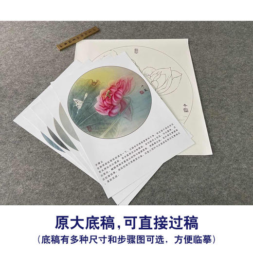 【有步骤、大彩图】杨冬冬工笔画白描底稿圆形小品《怡心》荷花蝴蝶初学者临摹花鸟线稿HD38 商品图1
