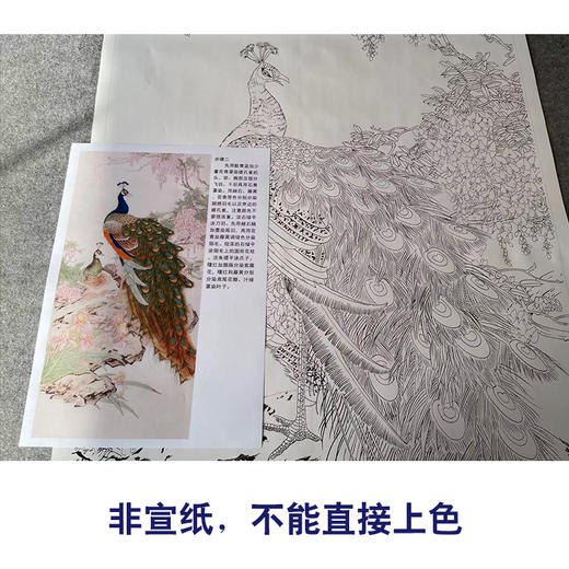 【有步骤】陈军四尺工笔画白描底稿《紫气东来》孔雀初学者临摹花鸟线稿CJ41 商品图2