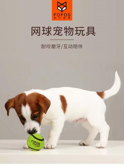 两只福狸网球 商品图4