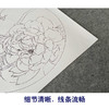 【有步骤、大彩图】杨冬冬工笔画白描底稿圆形小品《涵芳》荷花初学者临摹花鸟线稿HD30 商品缩略图4