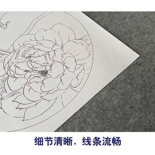 【有步骤、大彩图】杨冬冬工笔画白描底稿圆形小品《涵芳》荷花初学者临摹花鸟线稿HD30 商品图4