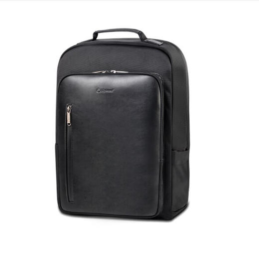 厂家直发（3-5天发货，着急勿拍）外交官时尚休闲双肩包DS-14008L商务背包大容量15.6寸 商品图0