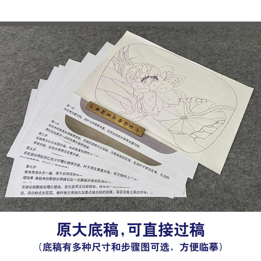【有步骤、大彩图】杨冬冬工笔画白描底稿小品《花开并蒂》荷花初学者临摹花鸟线稿HD40 商品图1