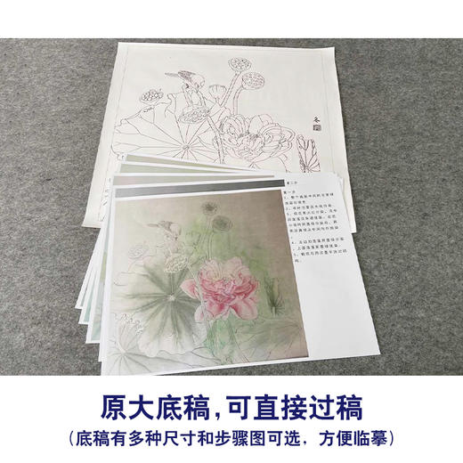 【有步骤、大彩图】杨冬冬工笔画白描底稿斗方小品《爱晴柔》荷花鹡鸰鸟初学者临摹花鸟线稿HD45 商品图1