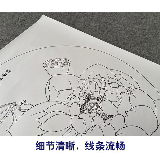 【有步骤、大彩图】杨冬冬工笔画白描底稿圆形小品《娇影》荷花初学者临摹花鸟线稿HD32 商品图4