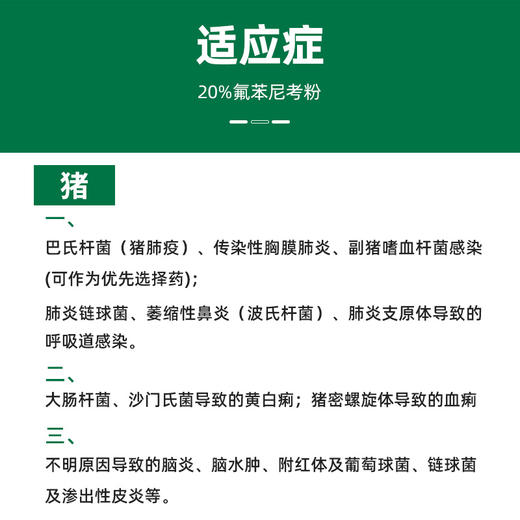 兽用 20%氟苯尼考粉猪禽呼吸道感染肠道生殖道病肺炎咳喘链球菌病 商品图1