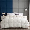 博洋艾米纯净鹅绒被200*230cm 商品缩略图0