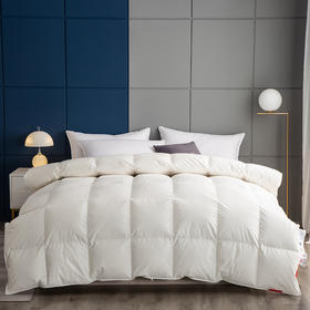 博洋艾米纯净鹅绒被200*230cm