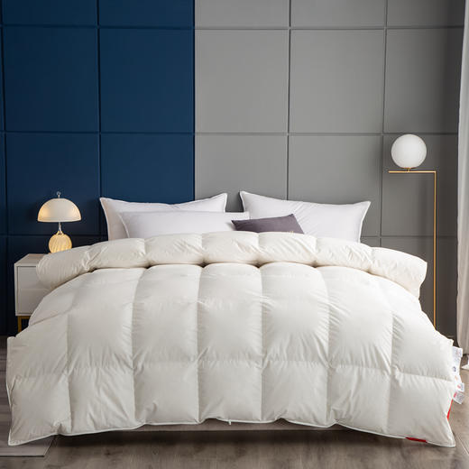 博洋艾米纯净鹅绒被200*230cm 商品图0