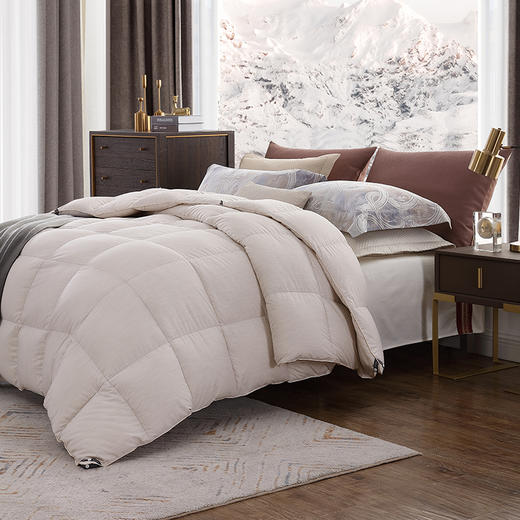 黑金奢享鹅绒被 商品图1