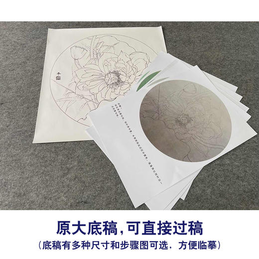 【有步骤、大彩图】杨冬冬工笔画白描底稿圆形小品《妙丽》荷花初学者临摹花鸟线稿HD35 商品图1