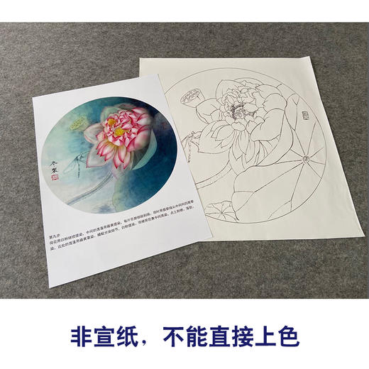 【有步骤、大彩图】杨冬冬工笔画白描底稿圆形小品《娇影》荷花初学者临摹花鸟线稿HD32 商品图2