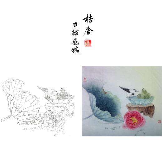 【有步骤、大彩图】杨冬冬工笔画白描底稿斗方小品《一帘清香》荷花鹡鸰鸟初学者临摹花鸟线稿HD43 商品图0
