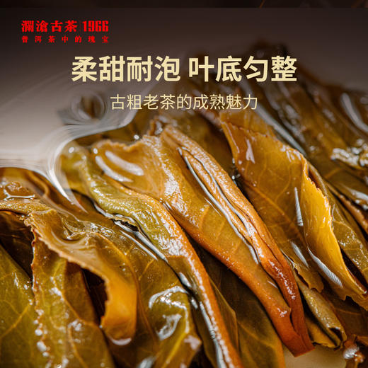 澜沧古茶2009年压制景迈古粗时光仓老茶七子饼茶普洱茶生茶云南茶叶盒装345g 商品图3