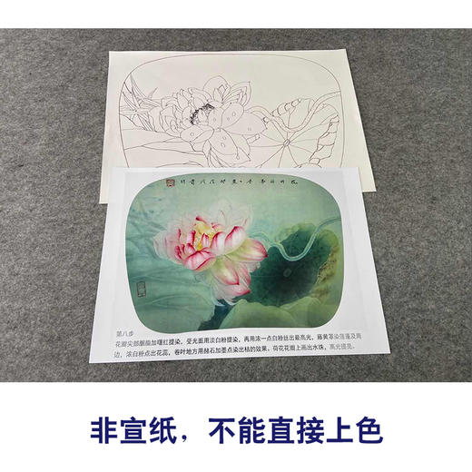 【有步骤、大彩图】杨冬冬工笔画白描底稿小品《花开并蒂》荷花初学者临摹花鸟线稿HD40 商品图2