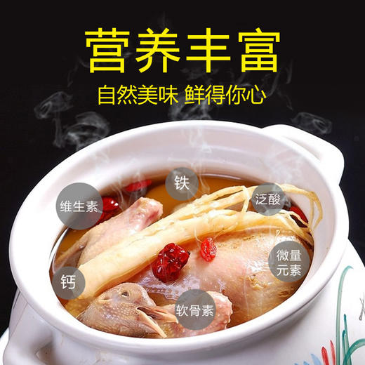 戚家-散养鸽子净镗 800G左右2只 商品图1