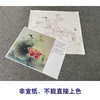 【有步骤、大彩图】杨冬冬工笔画白描底稿斗方小品《爱晴柔》荷花鹡鸰鸟初学者临摹花鸟线稿HD45 商品缩略图2