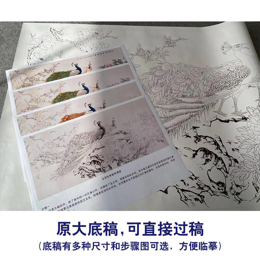 【有步骤】陈军横幅工笔花鸟画白描底稿《玉羽生辉富贵满堂》孔雀牡丹初学者临摹花鸟线稿CJ40 商品图1