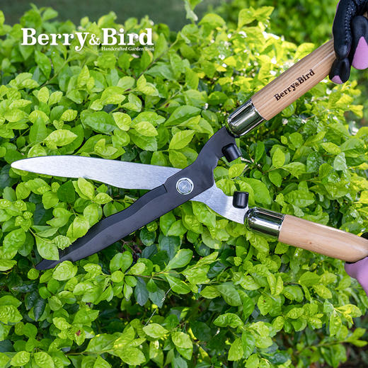 Berry&Bird园艺绿篱剪 商品图0