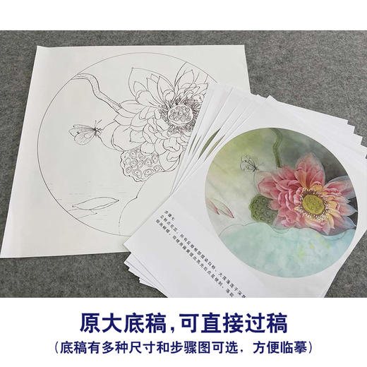 【有步骤、大彩图】杨冬冬工笔画白描底稿圆形小品《蝶慕》荷花蝴蝶初学者临摹花鸟线稿HD29 商品图1
