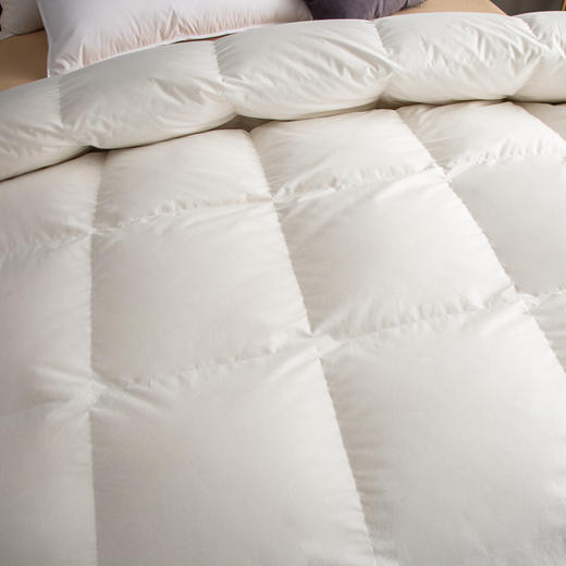 博洋艾米纯净鹅绒被200*230cm 商品图1