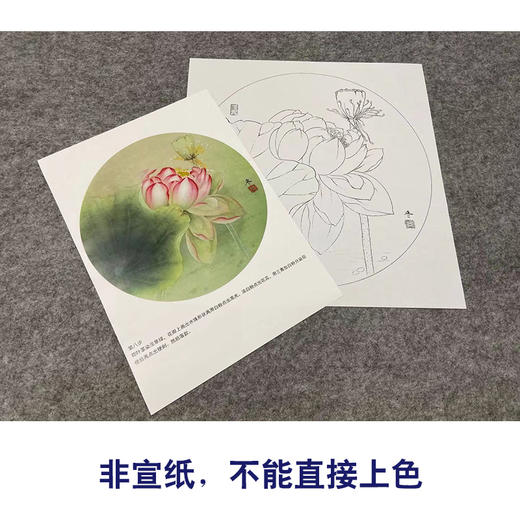 【有步骤、大彩图】杨冬冬工笔画白描底稿圆形小品《霁雨》荷花初学者临摹花鸟线稿HD31 商品图2