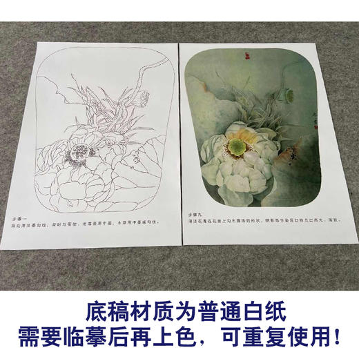 【有步骤、大彩图】杨冬冬工笔画白描底稿宫扇小品《亭亭玉立》荷花初学者临摹花鸟线稿HD41 商品图3