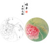 【有步骤、大彩图】杨冬冬工笔画白描底稿圆形小品《涵芳》荷花初学者临摹花鸟线稿HD30 商品缩略图0
