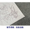 【有步骤、大彩图】杨冬冬工笔画白描底稿斗方小品《烟雨微香》荷花翠鸟初学者临摹花鸟线稿HD50 商品缩略图4